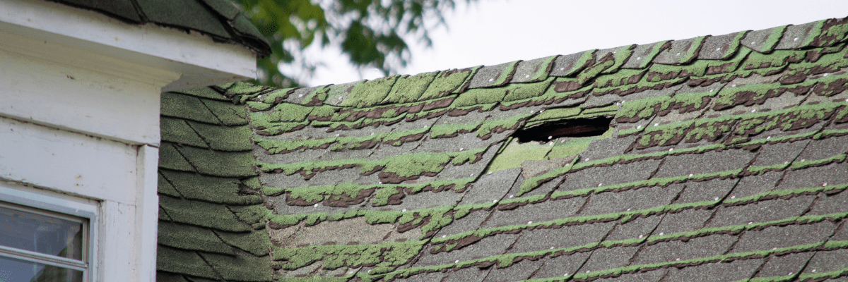 Causes Of Roof Leaks