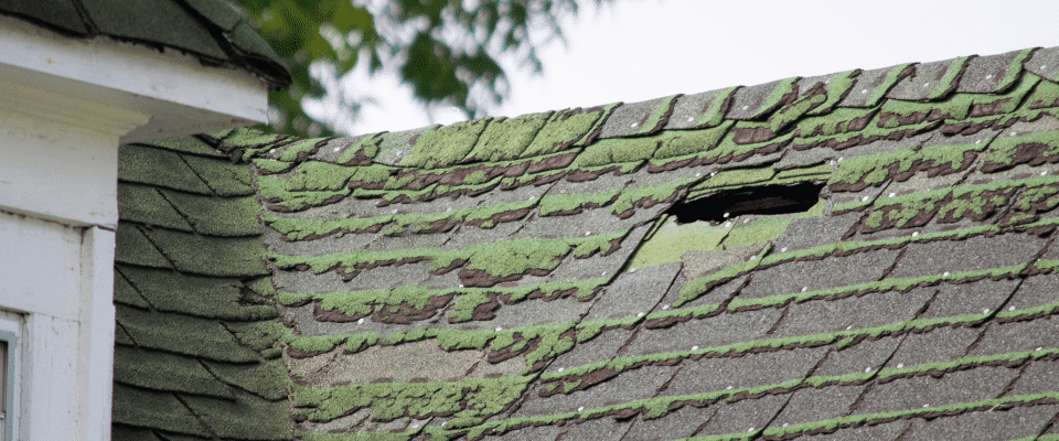 Causes Of Roof Leaks