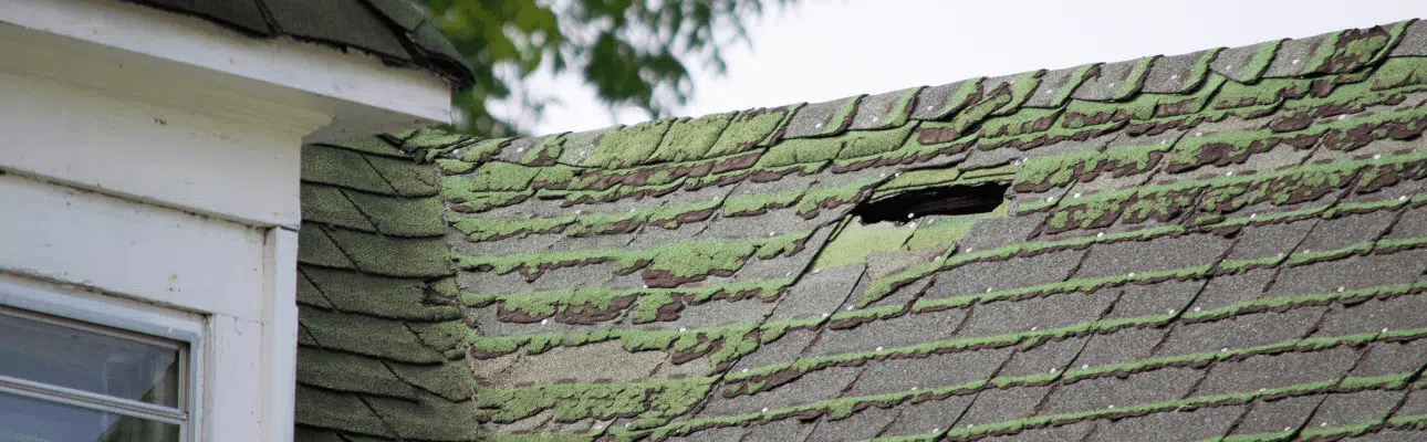 Kelowna Roofing - Kelowna Roof Repairs - Roofing Solutions Kelowna