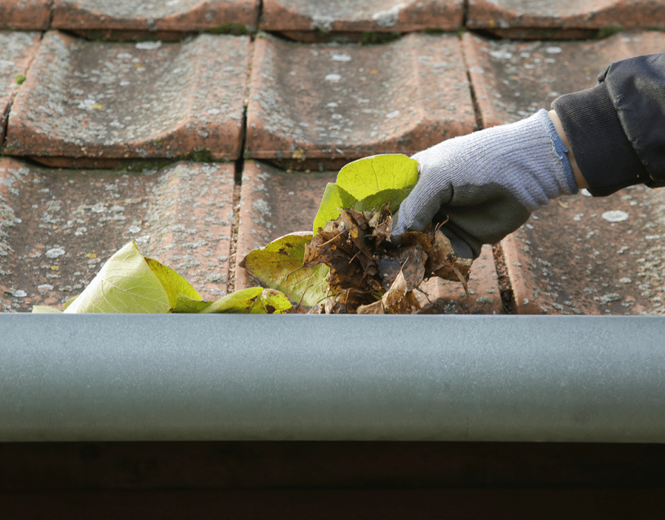 How To Choose Shingle Color